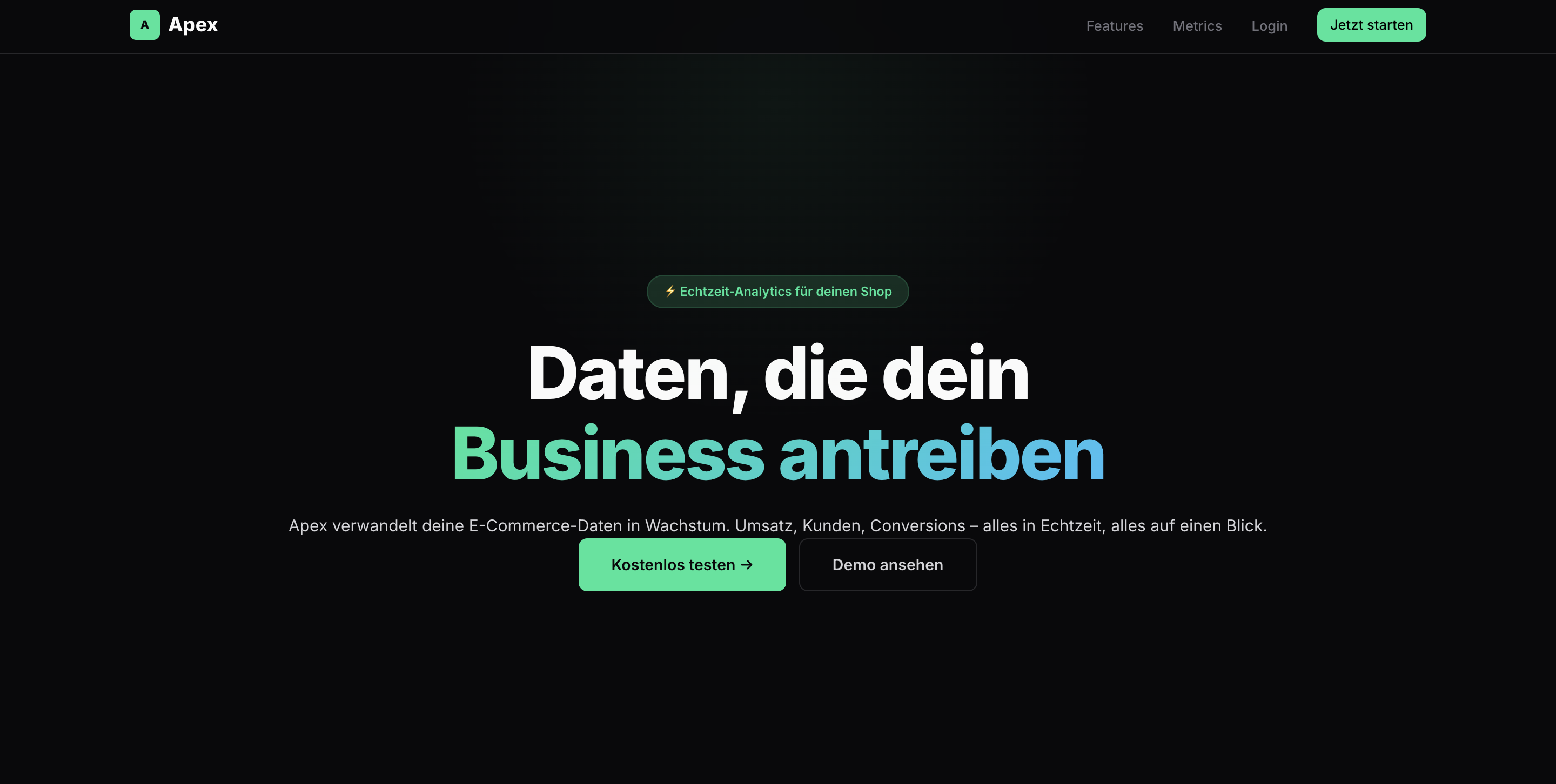 Professionelle Premium Webseite Beispiel — PrimeWebpageStudio